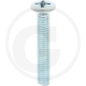Linsensenkschr.din966,Vz,Ph2,M05X030,Ve1 Granit 485966 05X030 48V